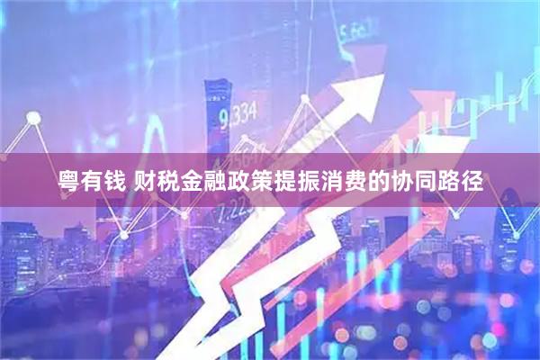 粤有钱 财税金融政策提振消费的协同路径