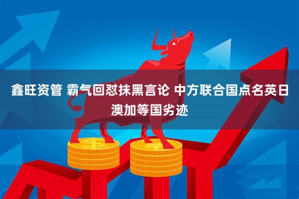 鑫旺资管 霸气回怼抹黑言论 中方联合国点名英日澳加等国劣迹
