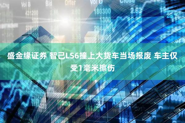 盛金缘证券 智己LS6撞上大货车当场报废 车主仅受1毫米擦伤
