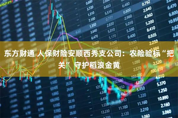 东方财通 人保财险安顺西秀支公司：农险验标“把关” 守护稻浪金黄