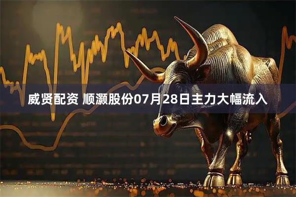 威贤配资 顺灏股份07月28日主力大幅流入
