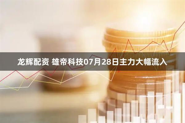 龙辉配资 雄帝科技07月28日主力大幅流入